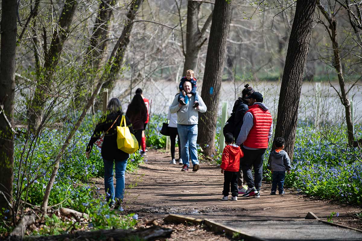 People walk on the bluebell trail in Bull Run Park in Fairfax County