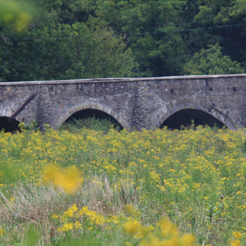 Goose Creek Historic Park