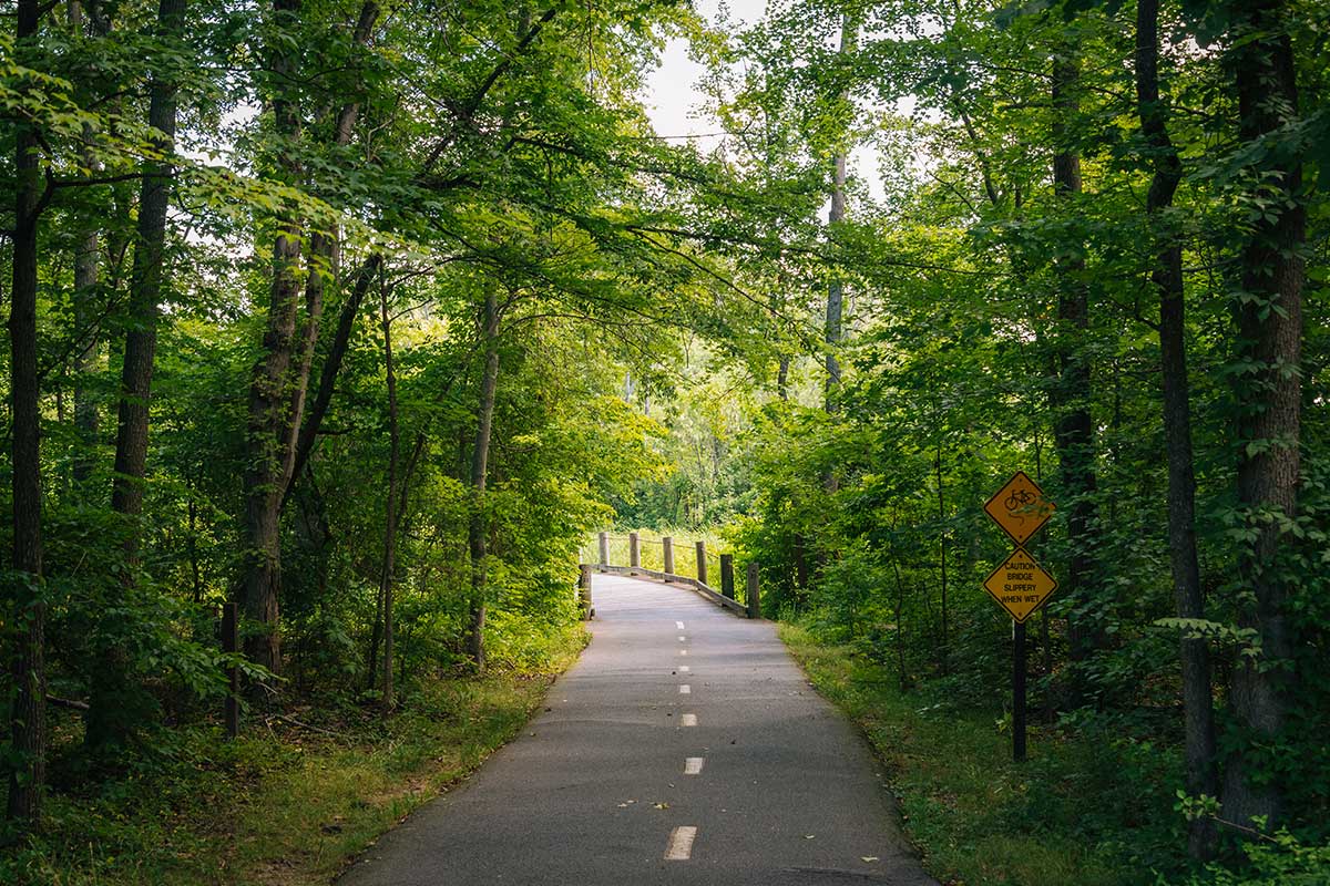 mount vernon trail