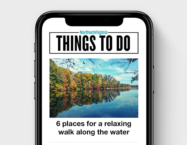 things to do newsletter