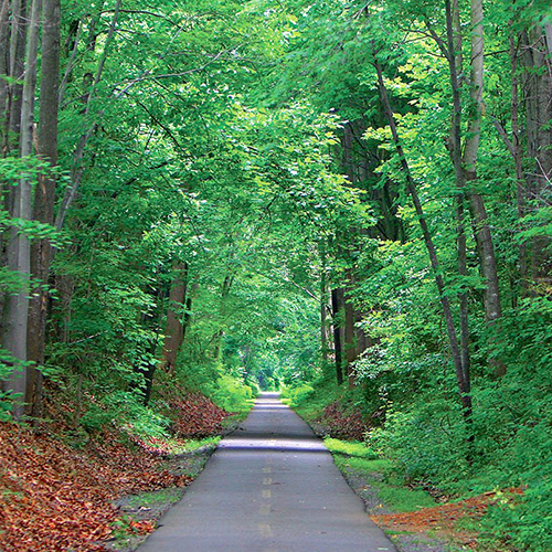 Washington & Old Dominion Railroad Regional Park