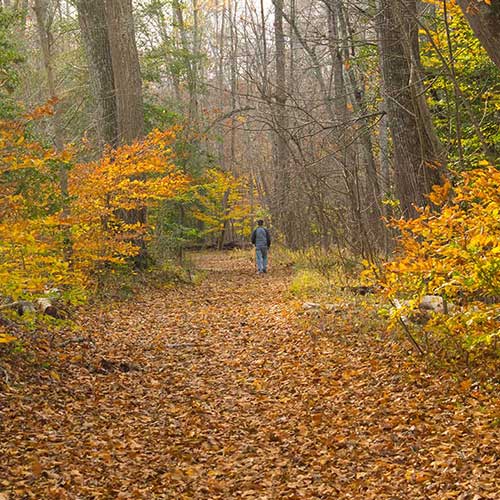 Prince William Forest Park