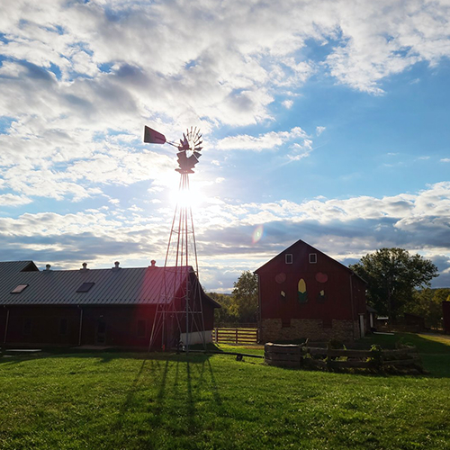 Temple Hall Farm Regional Park