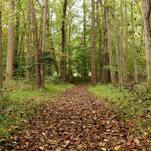 Webb Nature Sanctuary