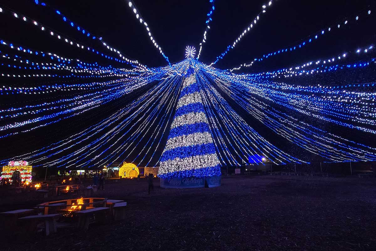 blue and white christmas tree