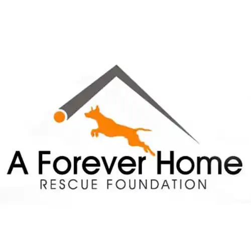 A Forever Home Rescue Foundation