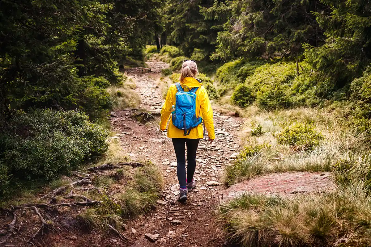 woman hiking in forest alone