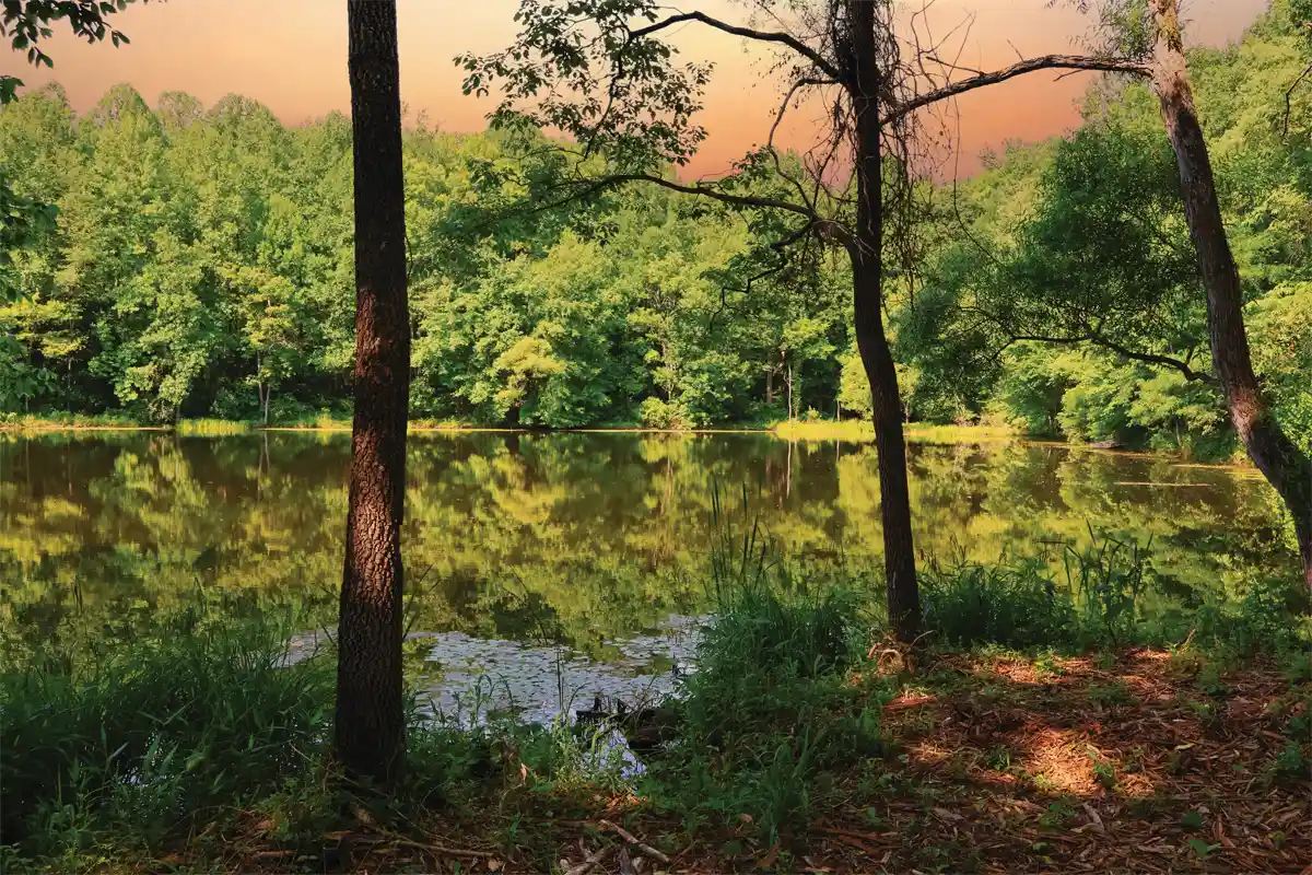 Gordon Pond, Sweet Run State Park