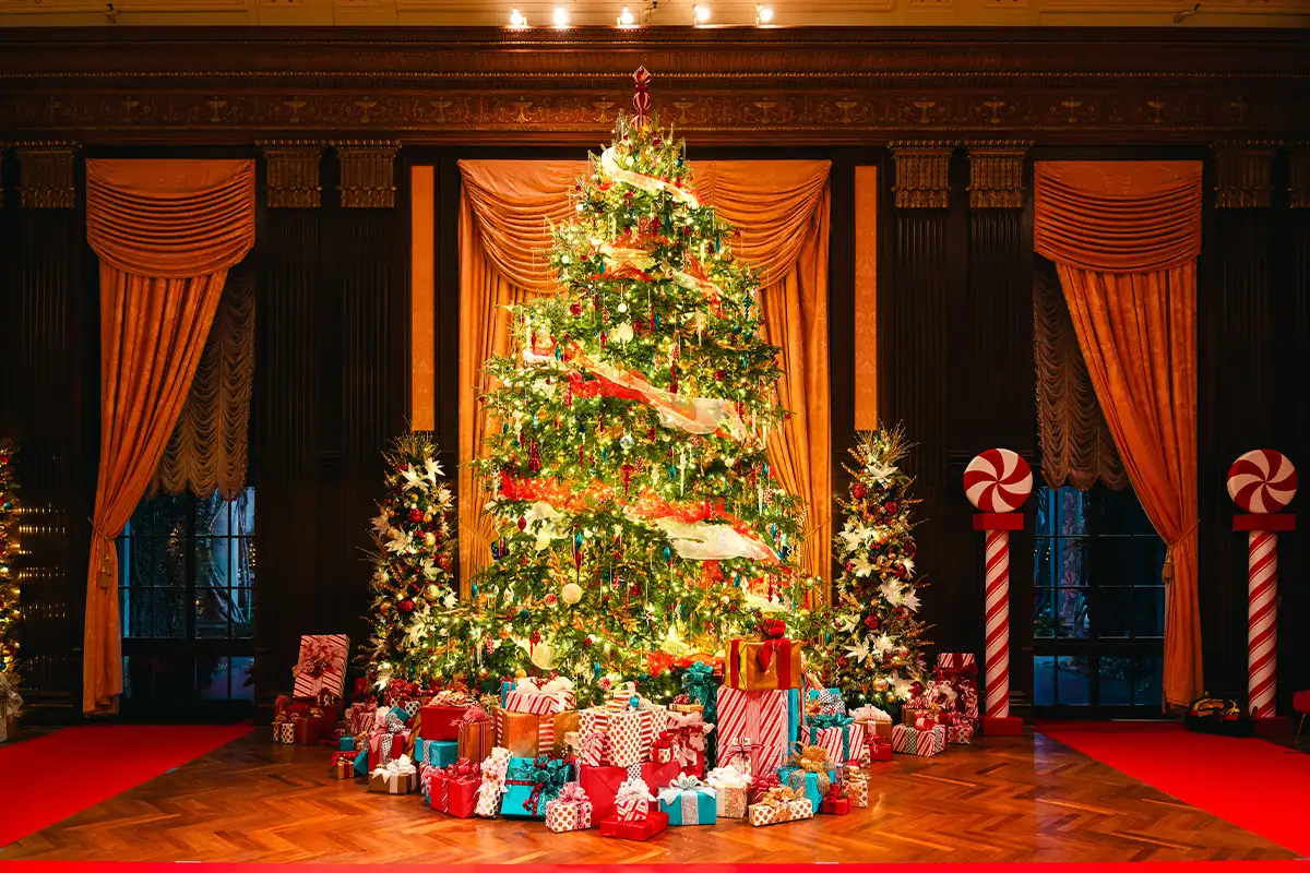 Tree at Longwood Gardens