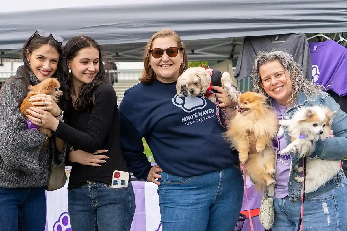 Dogs available for adoption at a previous Paws in the Park.