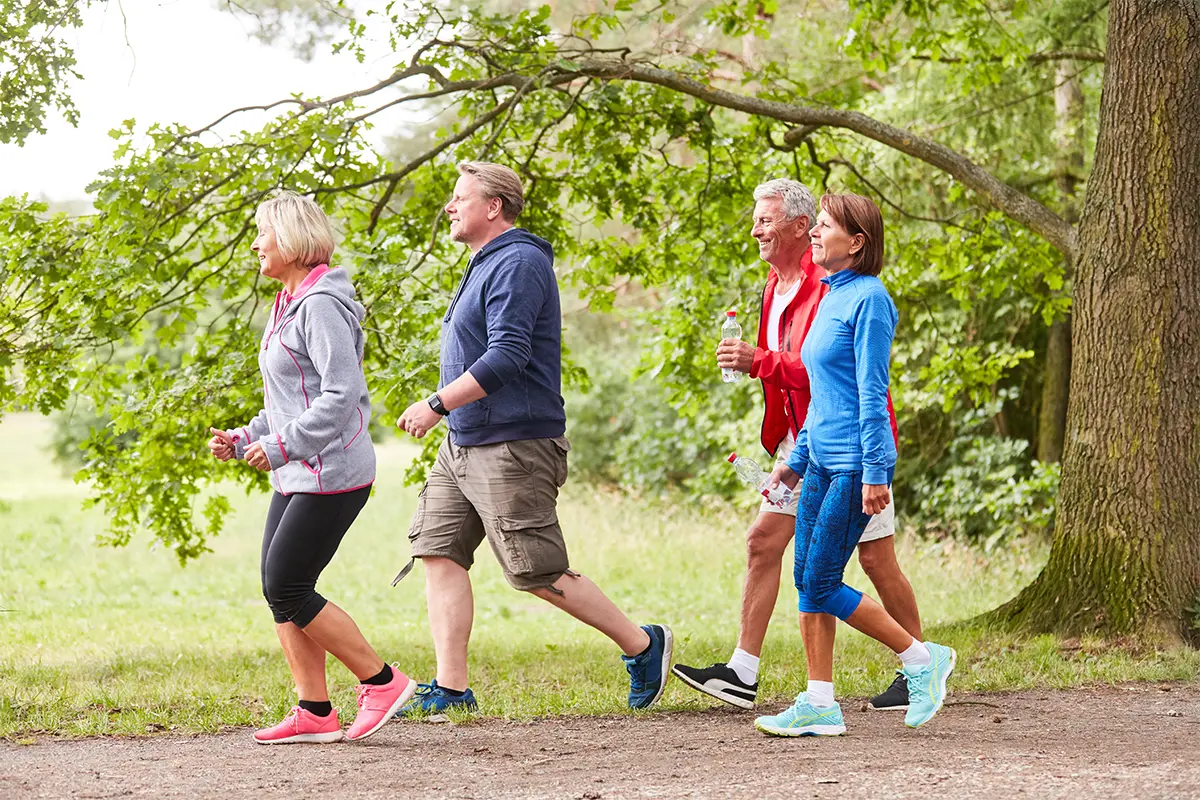four people walking on a path near the woods