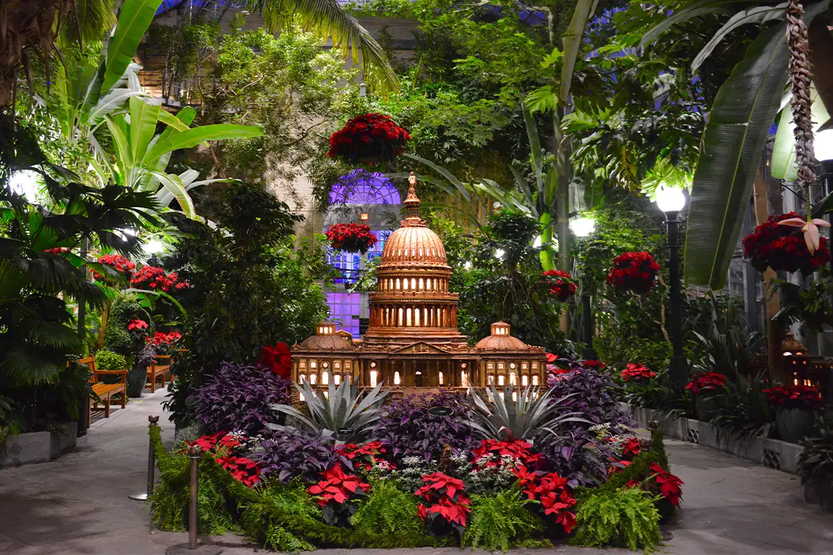 The Capitol Building made from plant materials at the U.S. Botanic Garden holiday exhibit 2025.