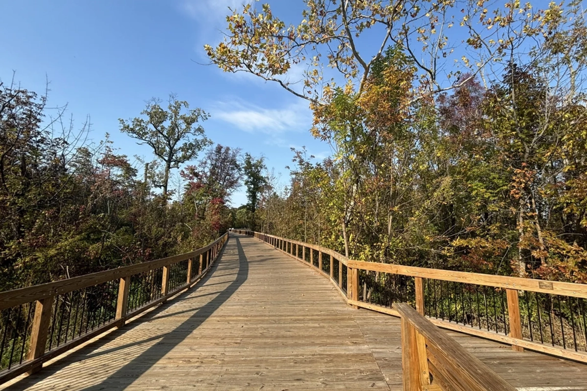 Mount Vernon Trail: Belle Haven to Dyke Marsh