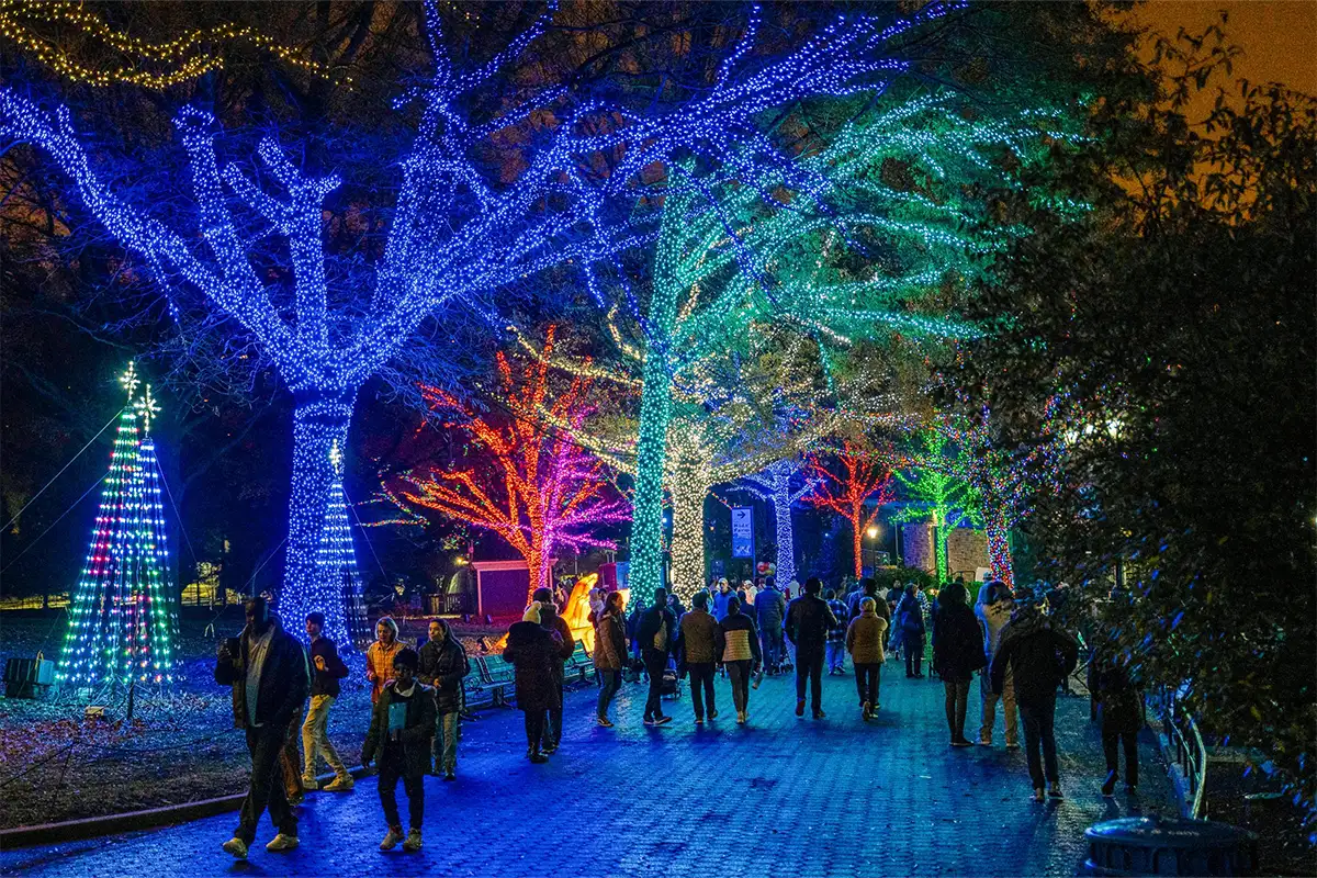 Zoo Lights